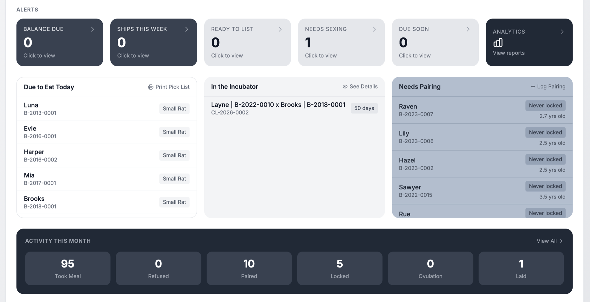 THE RACK dashboard showing feeding schedule alerts and activity log for ball python collection management