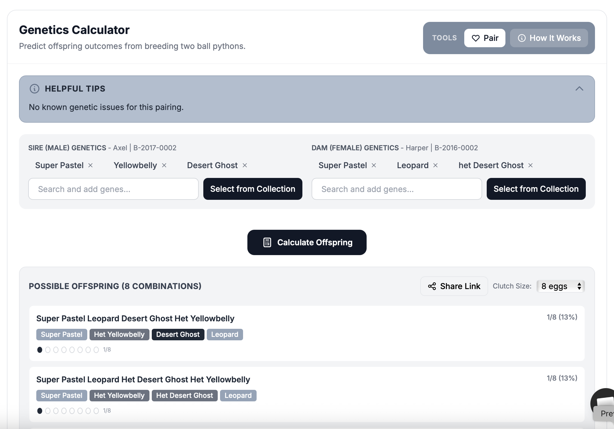 Ball python genetics calculator showing morph prediction results and het odds for a Super Pastel Yellowbelly Desert Ghost pairing