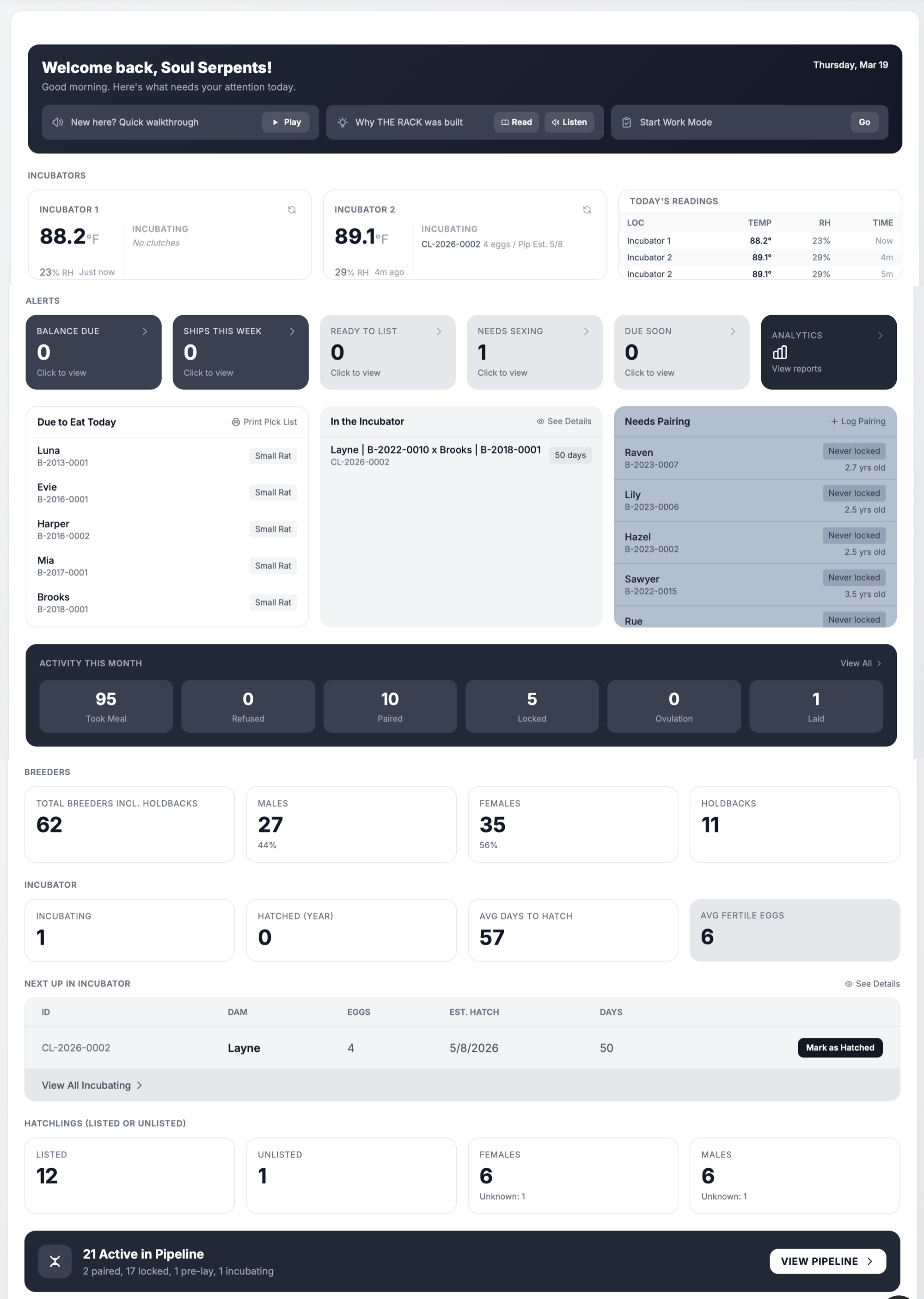 THE RACK breeding pipeline showing planned pairings, offspring outcomes, and multi-year project tracking