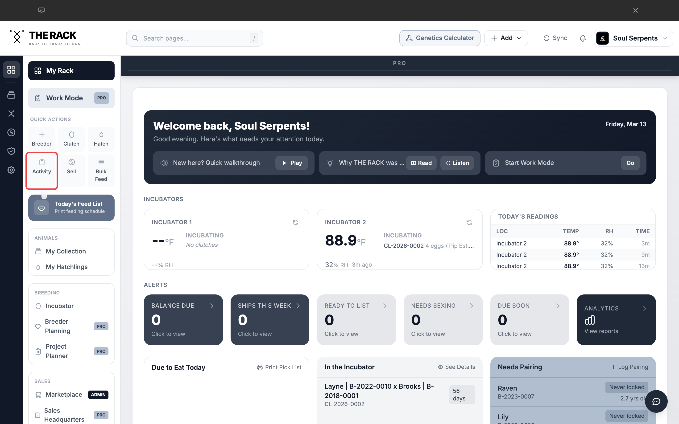 Dashboard with the Activity button highlighted in the sidebar Quick Actions area
