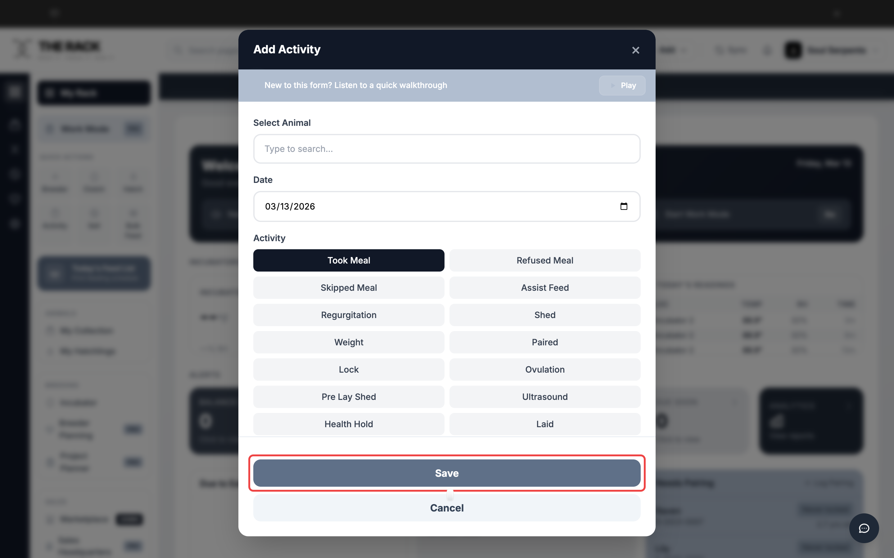 Save button highlighted at the bottom of the Activity form