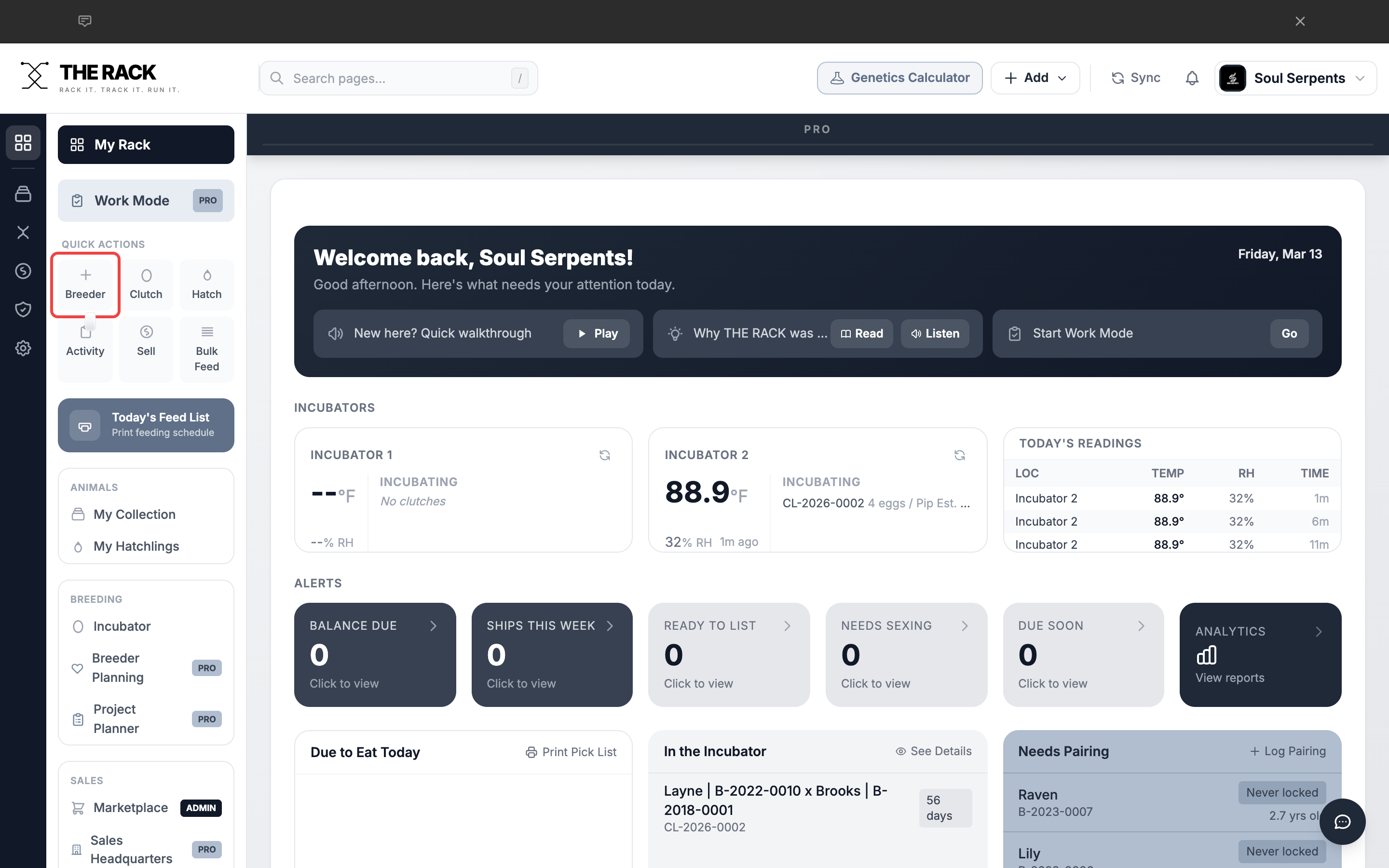 Dashboard with the Breeder quick action button highlighted in the sidebar