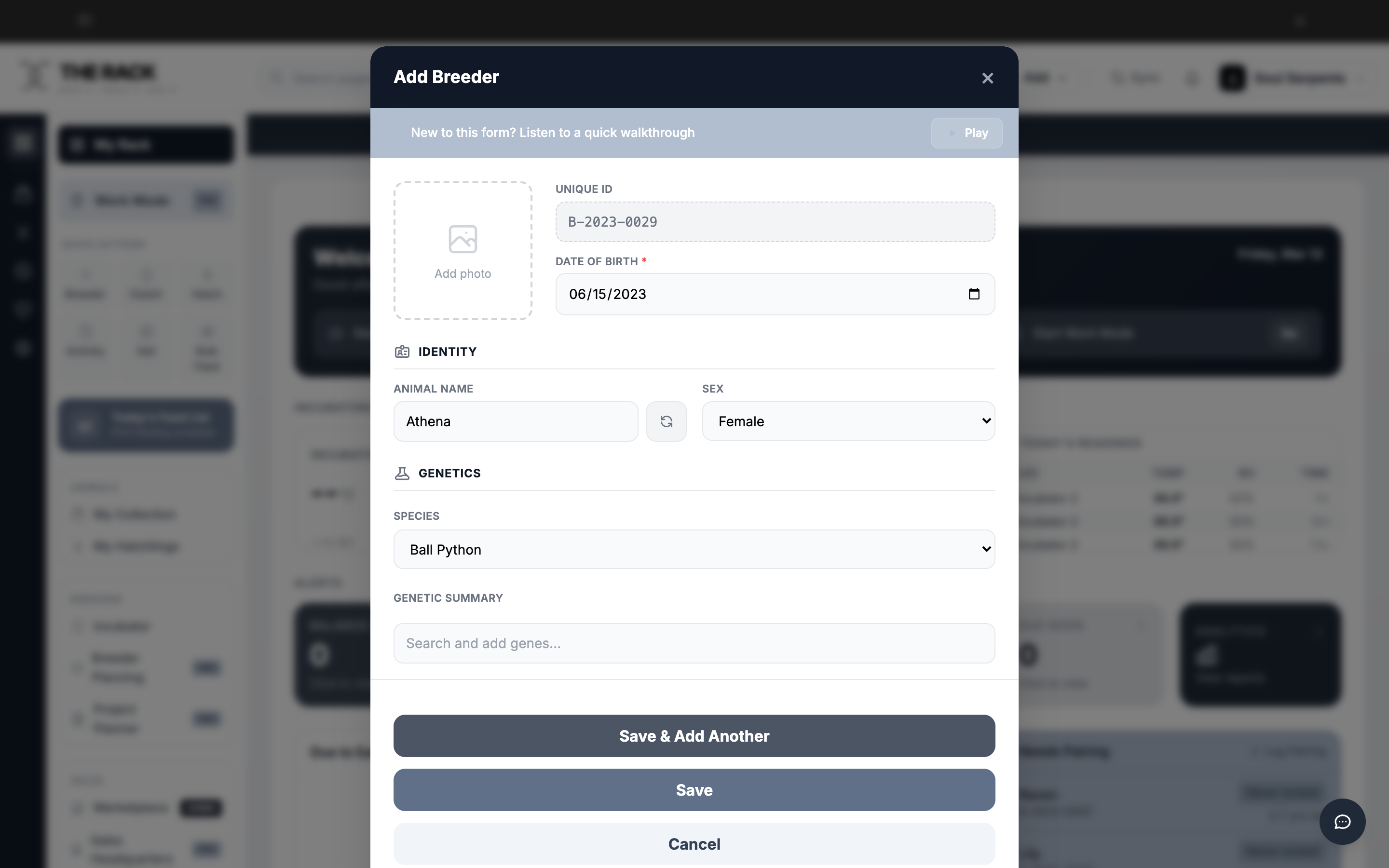 Identity section with name Athena entered and Unique ID B-2023-0029 auto-generated