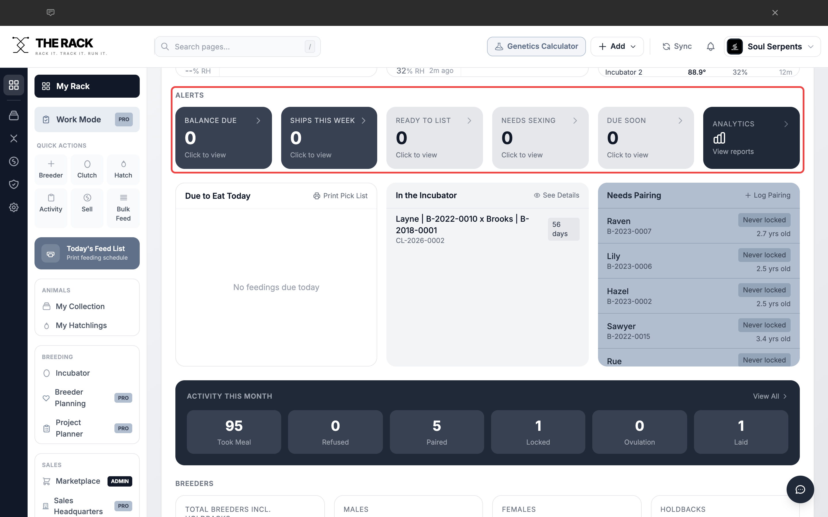 The Alerts row showing Balance Due, Ships This Week, Ready to List, and more