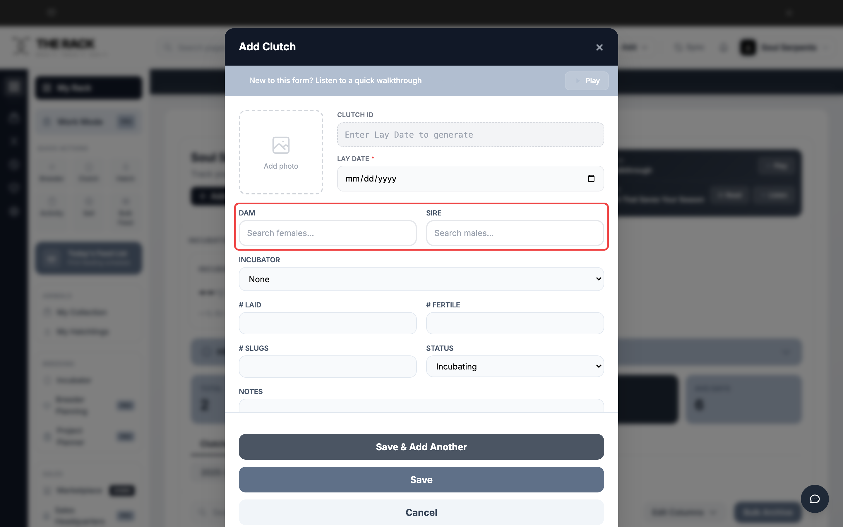 The Dam and Sire search fields highlighted in the Add Clutch form