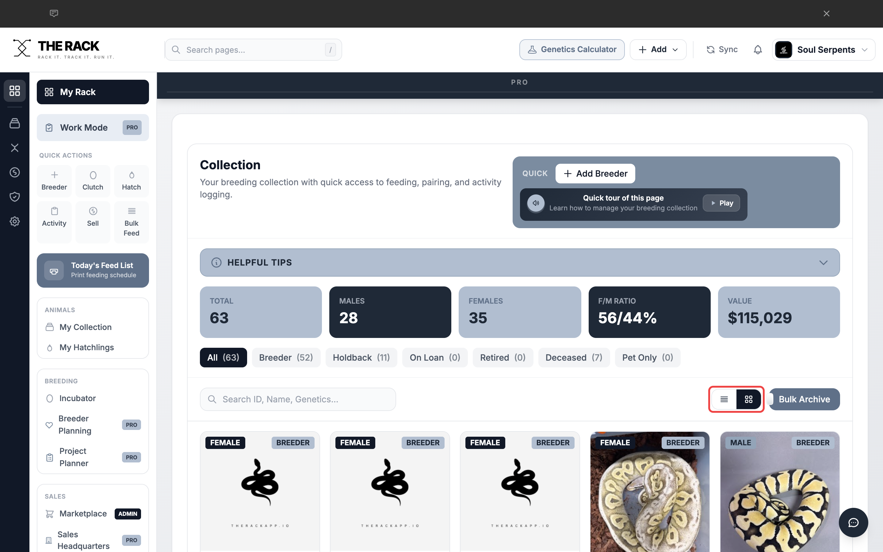 Card view showing animal photo cards with the view toggle buttons highlighted
